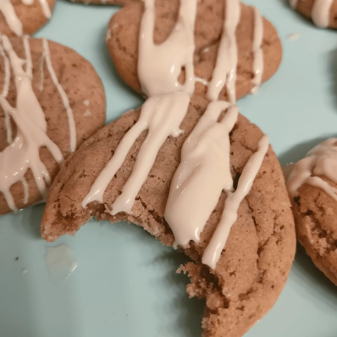 Shraga's Cookies - Snickerdoodles